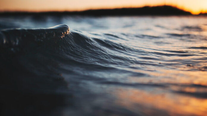 Bunnie Jelly Roll: A Delicious and Fun Recipe