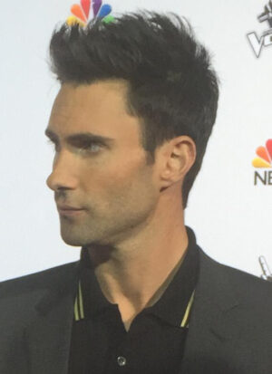Insights into Adam Levine Divorce: What You Need to Know - Daniel Oren