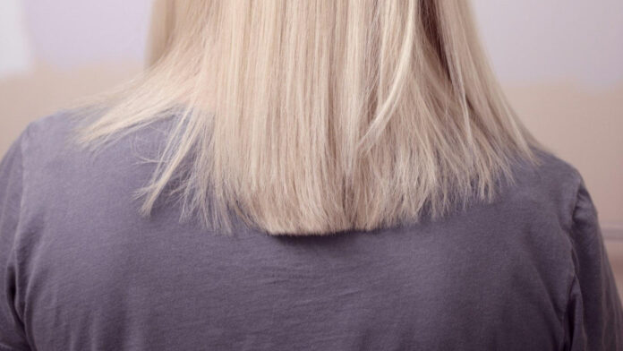 Who is Justin Long’s Current Girlfriend? Unveiling the Actor’s Relationship Status