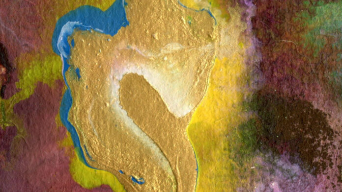 The Fascinating World of Bianca Sensory: Unveiling the Insights