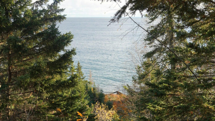 Kanye West Ties The Knot Again: A Look Into His Remarriage