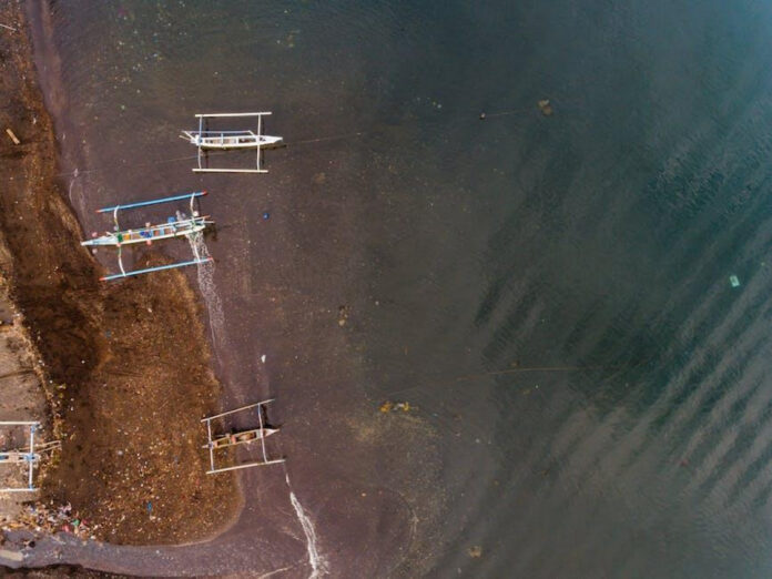 Demi Moore and Ashton Kutcher: A Surprising Hollywood Couple