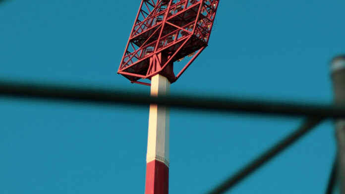 Larissa Pippen: A Rising Star in (Her Field)