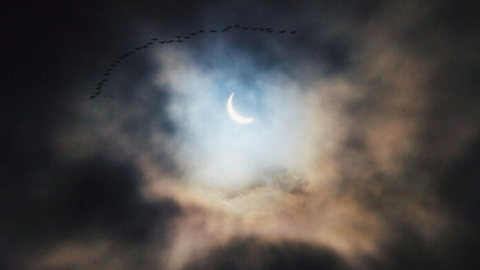 Unlocking the Power of Moon Phase Matching for Optimal Results