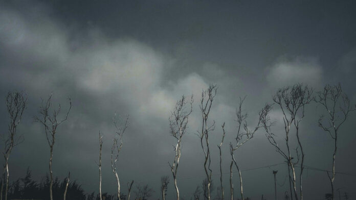 Yemaya Orisha: Exploring the Divine Mother Figure in Yoruba Religion