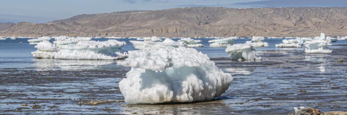 Unlocking Zodiac Secrets: Insights into September 16 Astrological Traits