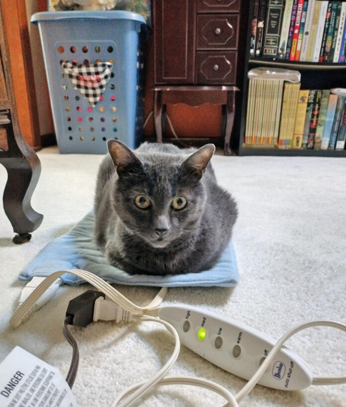 Cramp Relief: The Best Heating Pad for Period Pain