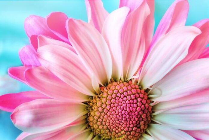 Unleash Your Summer Glow with These Hot Beauty Tips