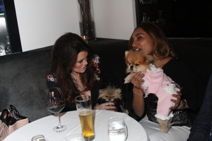 Unveiling the Enigmatic Jean Vanderpump: A Story of Mystery and Intrigue