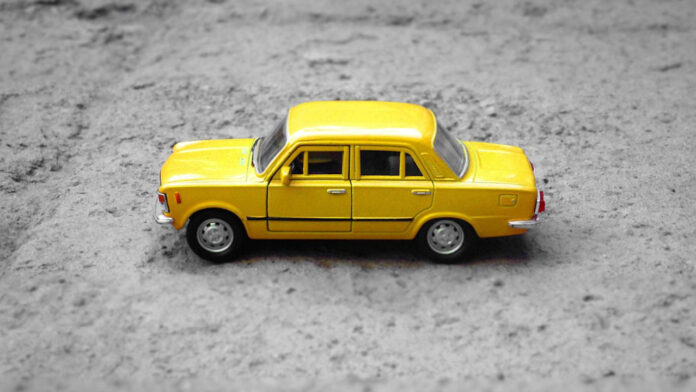 Tiny and Ti: Adorable Miniature Trends Taking the World by Storm