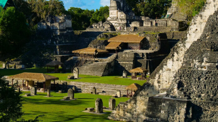 The Fascinating Age of Maya Vander: Uncovering Her Story