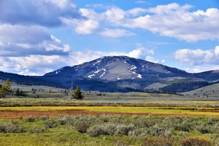 Find Out: When Does Yellowstone Start