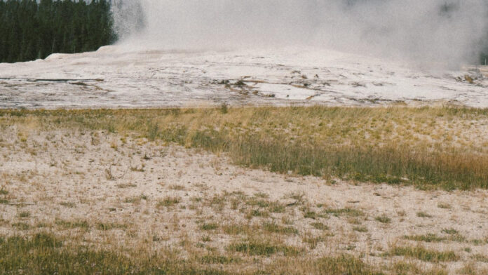 Unleashing the Wild: Yellowstone Premiere Season 5