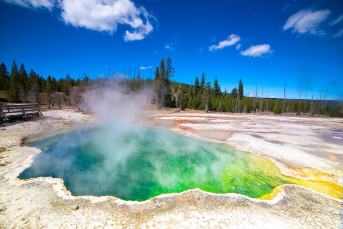 Unveiling the Epic Saga: Exploring the Seasons of Yellowstone