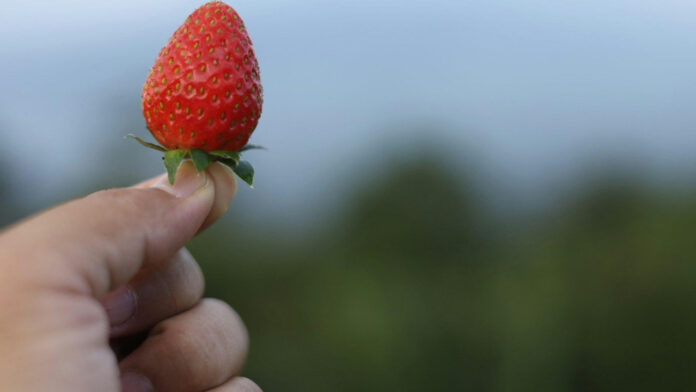 Understanding and Treating Strawberry Nose: A Comprehensive Guide