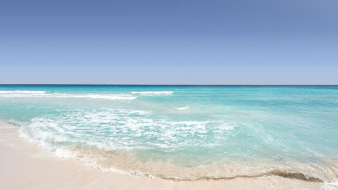 Exploring the Beauty of Sam Laguna Beach