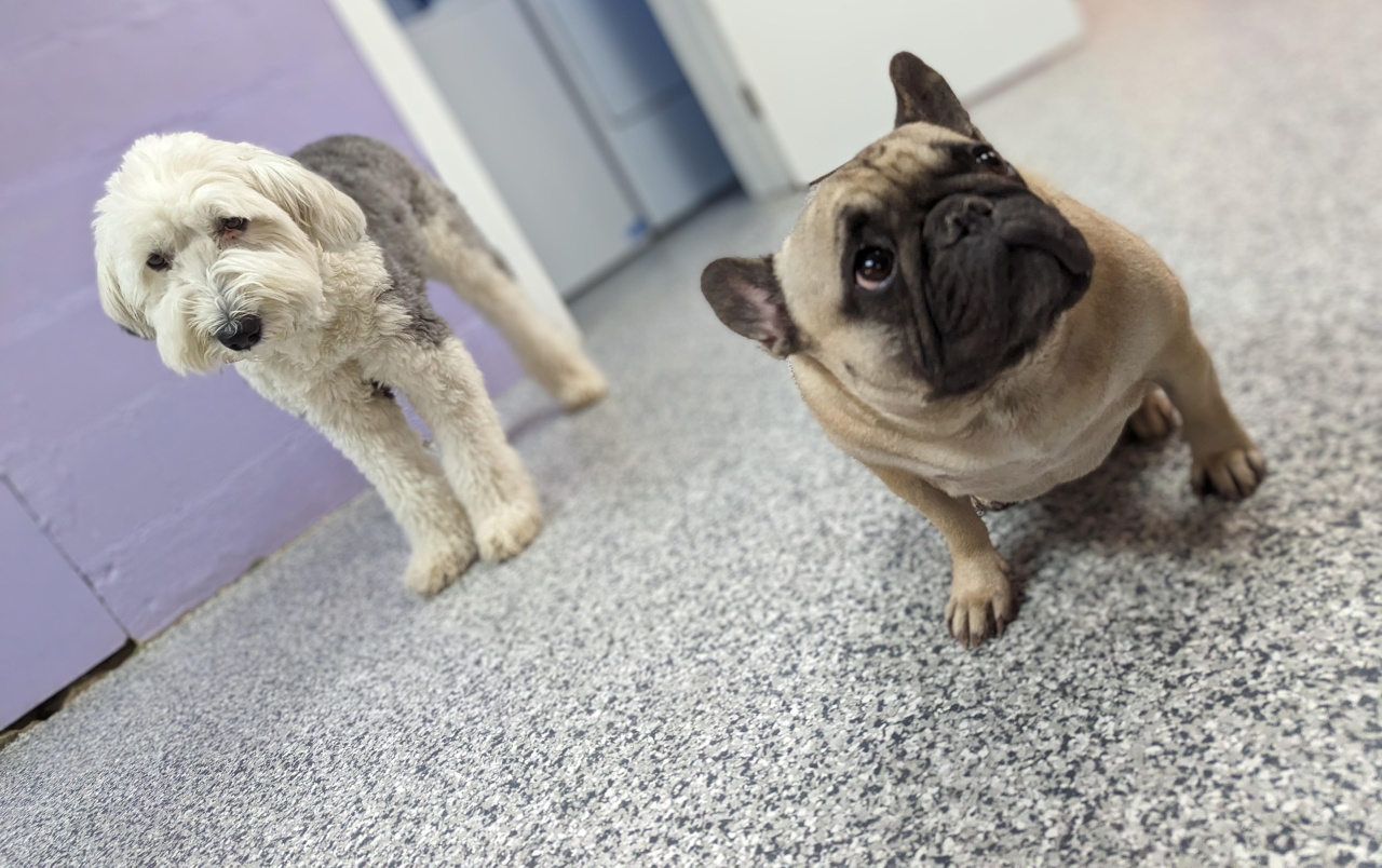 The Rise and Reality of Chloe from Siesta Key - Daniel Oren