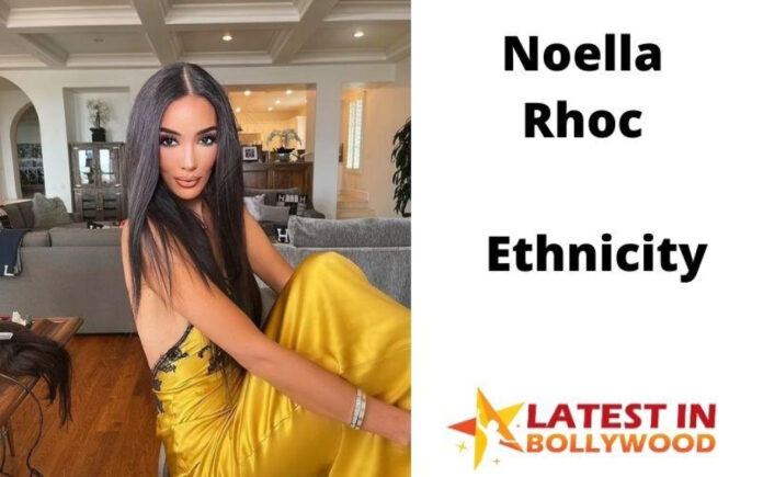 Noella Bergener: Biography, Career, and Achievements