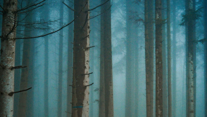 Stranger Things Final Season: Everything You Need to Know