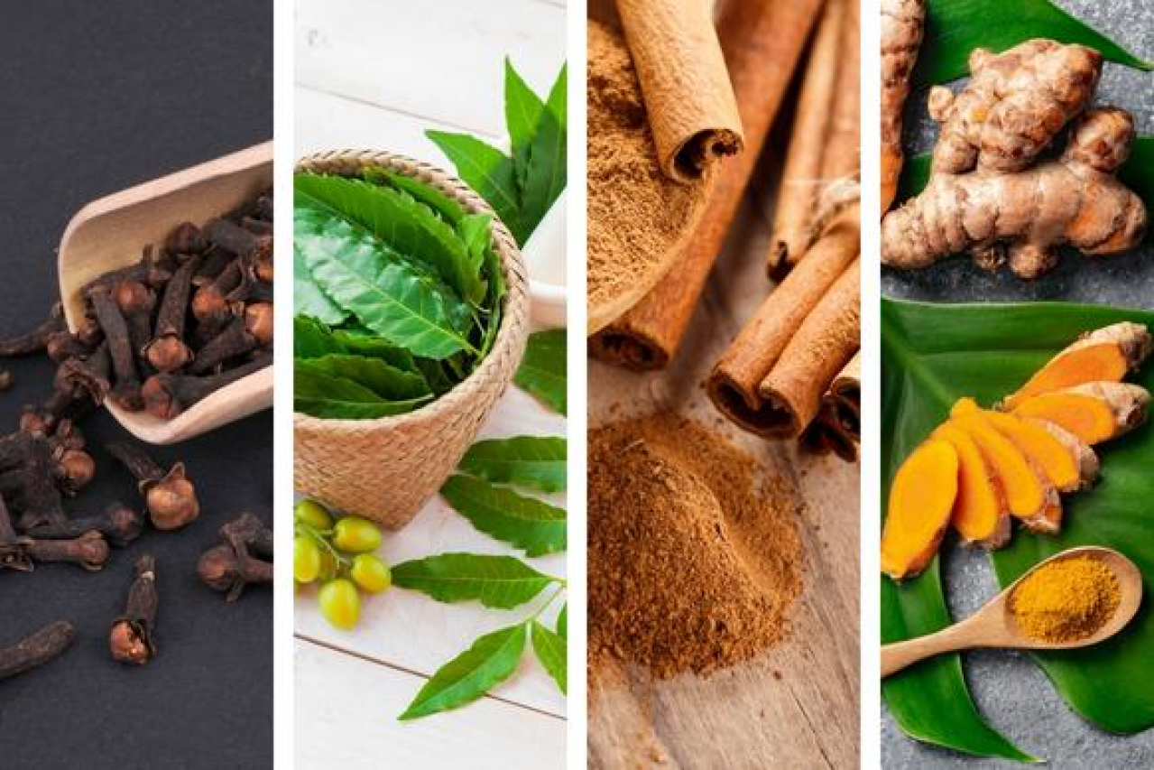 Top 10 Antibacterial Body Washes for Ultimate Cleanliness Daniel Oren