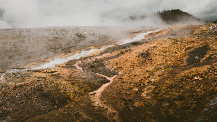 Yellowstone Season 5: Release Date Revealed!