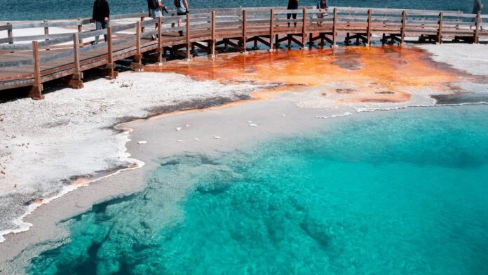 Yellowstone Season 5 Premiere Date Revealed: Get Ready for the Drama!