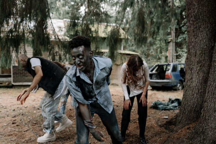Exploring The Walking Dead Spin-Offs: A Guide