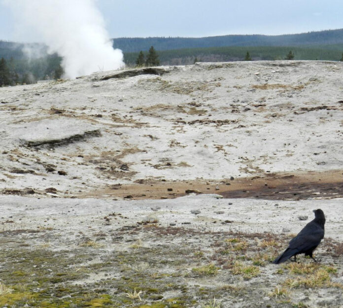 Get Ready: Yellowstone Season 5 Premiere