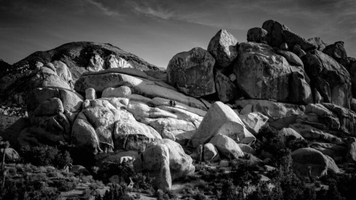 The Mysterious World of Joshua Lee Rosbach: Unveiling the Enigma