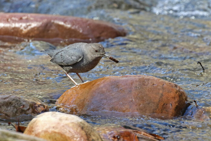 Breaking Kohl’s News: Retail Giant Makes Waves with Latest Announcements