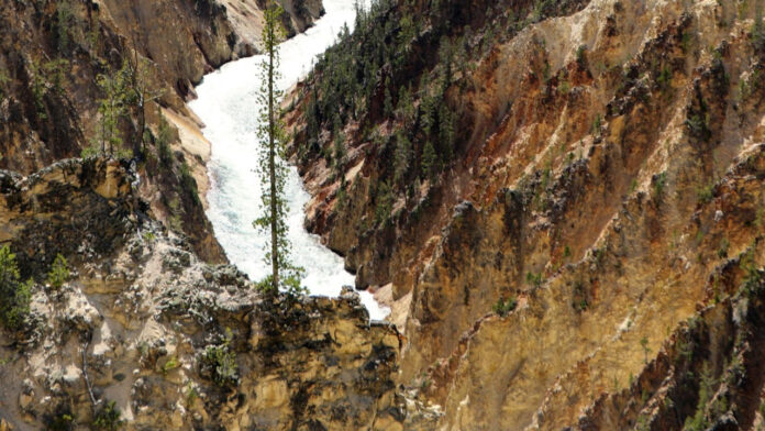 Uncovering the Future: How Many Seasons of Yellowstone Can We Expect