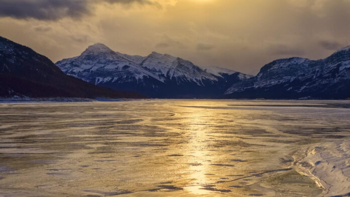 Farrah Abraham 2023: What’s Next for the Reality TV Star and Entrepreneur