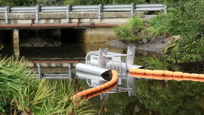 The Fascinating Life of Archie Mountbatten: A Royal Legacy