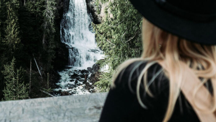 Meet Alexander AE Edwards: Multi-Talented Musician and Influencer